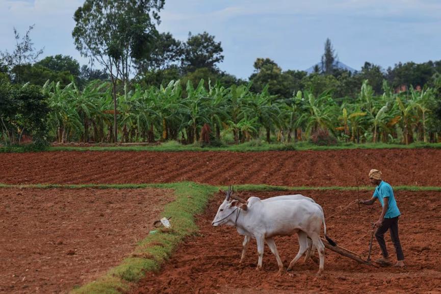 印度为何难以完成工业化,我们为什么要为印度推动工业化