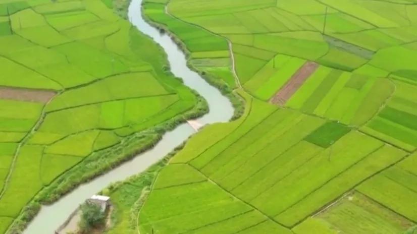 400亩良田一夜之间变成一个大湖,广西400亩田竟然一夜间变吨湖