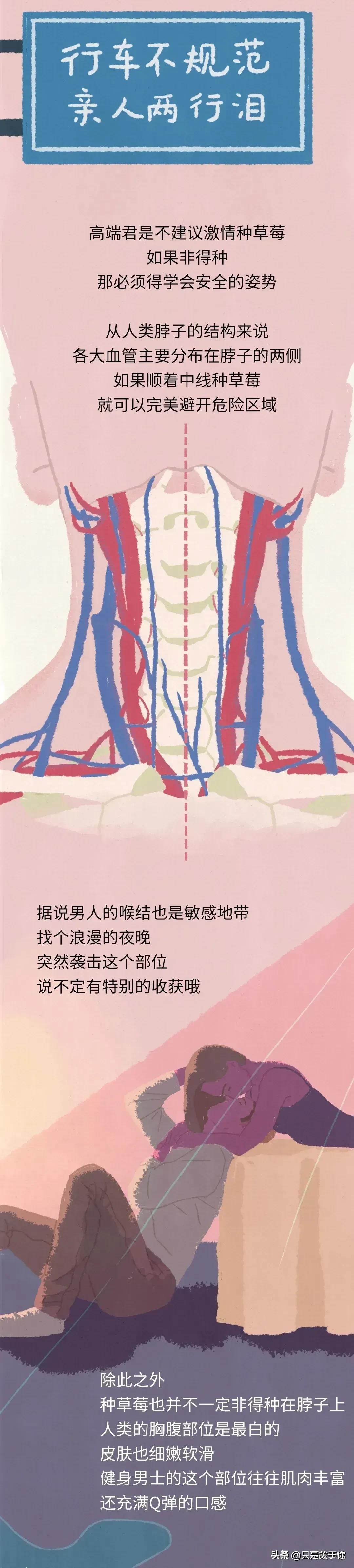 漫画里种草莓的人,漫画种草莓