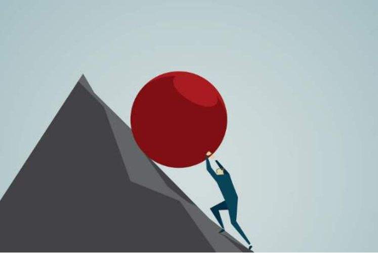 白蜡的行情,白蜡未来5年行情