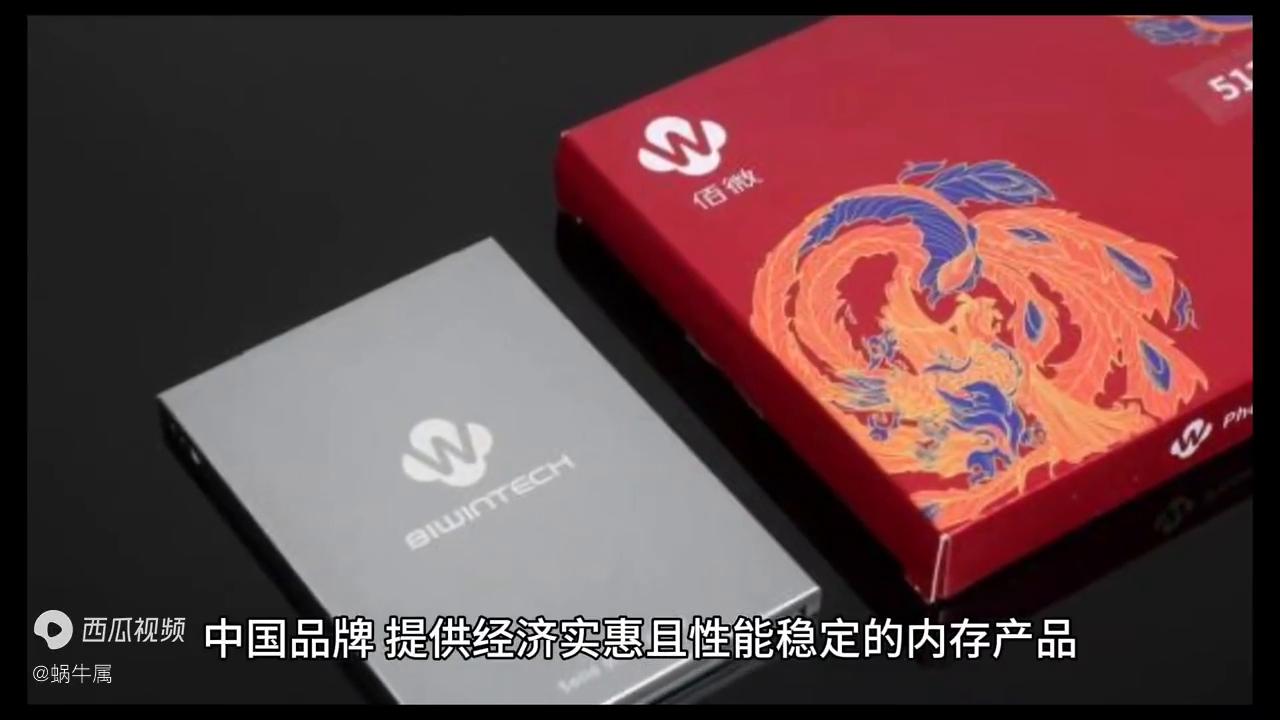 什么是内存条专业解释,什么是内存条