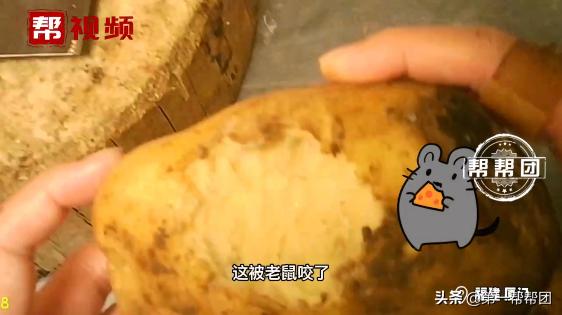 被老鼠咬过的熟土豆还能吃吗,吃了老鼠咬过的土豆怎么办