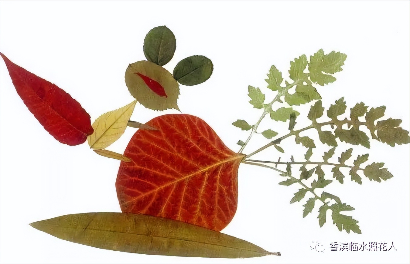 编写动物童话故事二年级,我的小铅笔