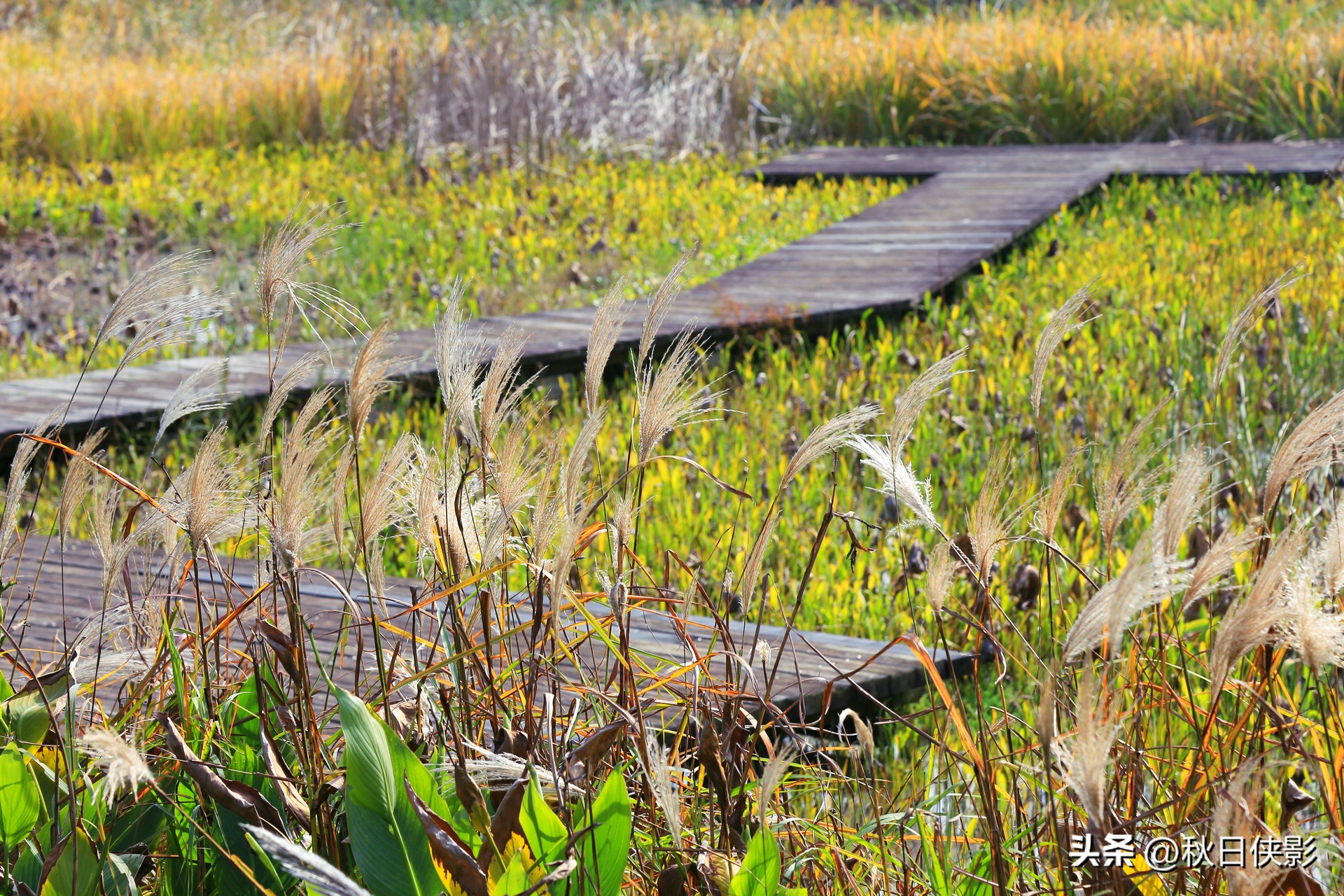 杭州周边秋日赏景好去处,杭州周边当季旅游景点推荐