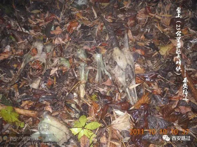 鳌山青峰峡,鳌山穿越要几天