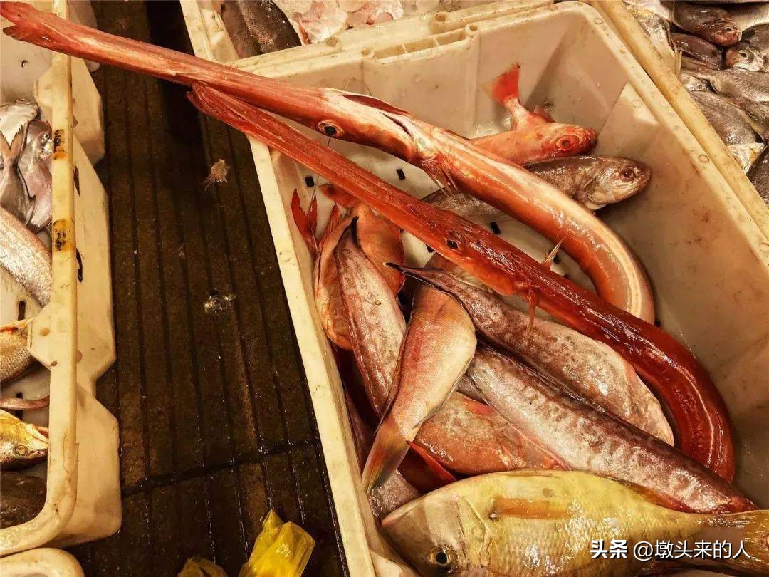 海鲜尖嘴鱼怎么做好吃,三亚海里哪种鱼最好吃