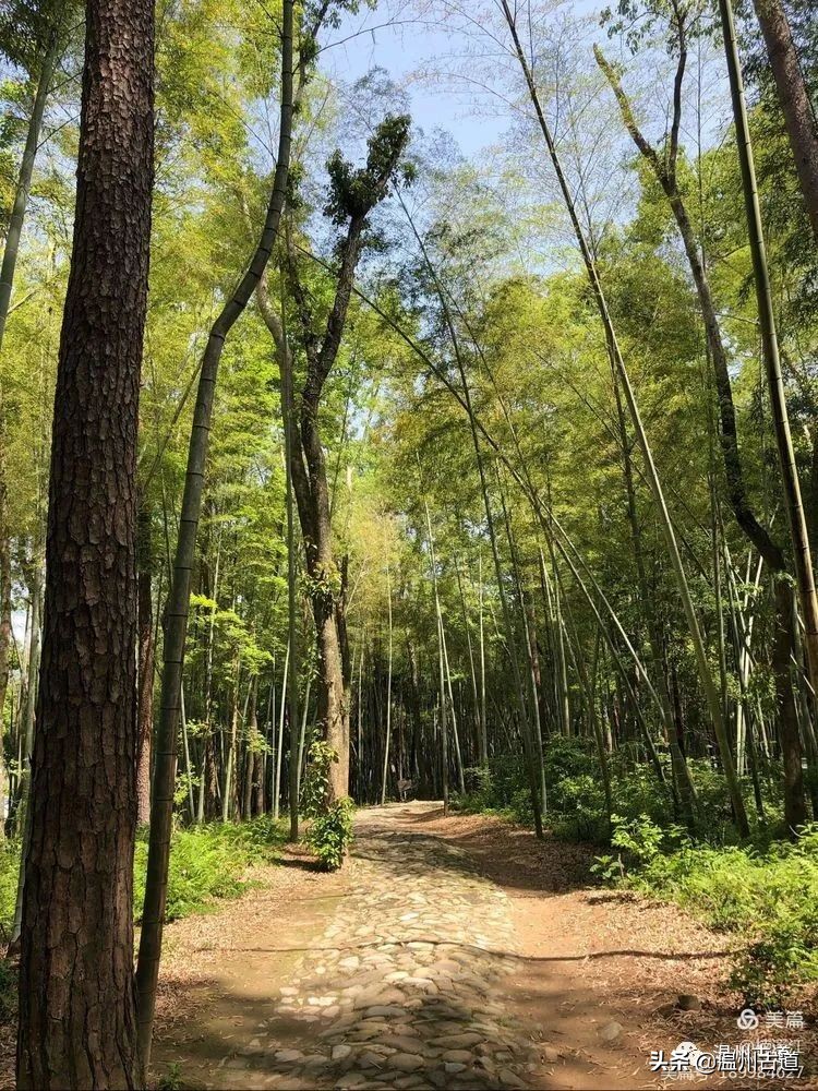 楠溪江哪里人少好玩,楠溪江风景最好的地方