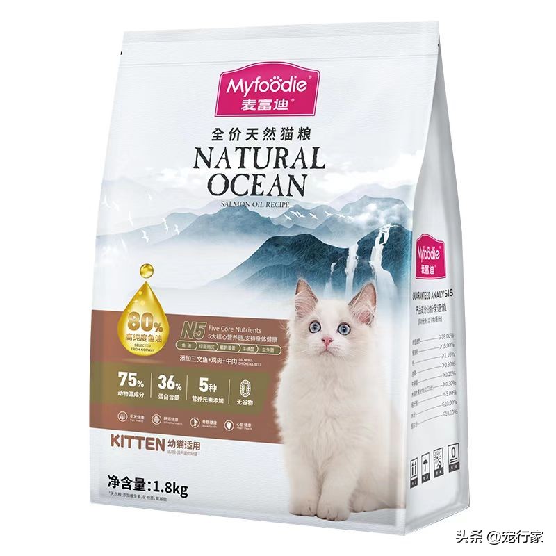 新手养猫养哪种猫更好便宜,怎样养猫不用花钱买猫