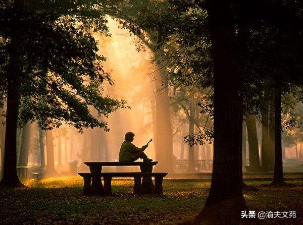 「夜辰读书」成功是成长的附属品——《我的人生哲学》读后感