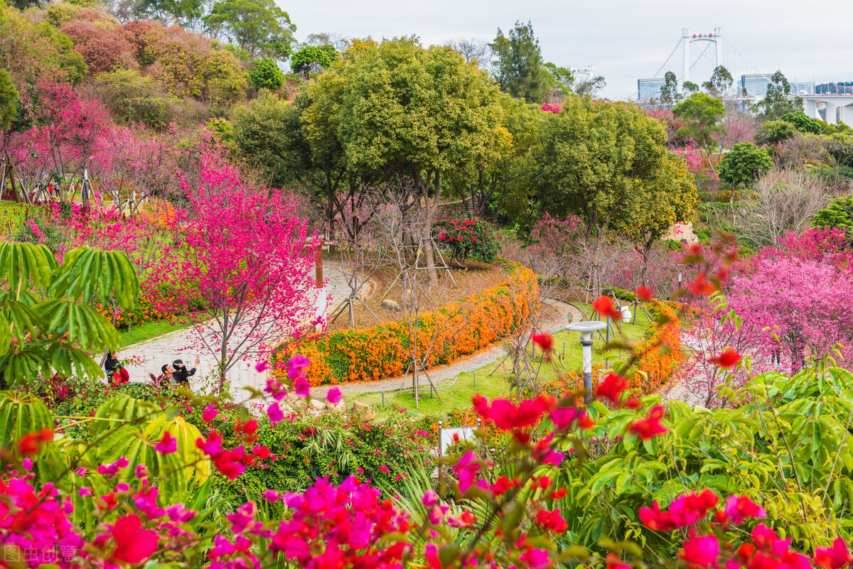 厦门旅游攻略必逛景点推荐,厦门攻略必逛景点一日游