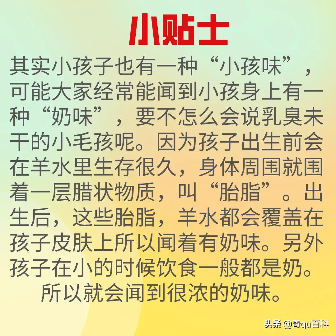 我们常说的基本味是什么,女人味和男人味区别