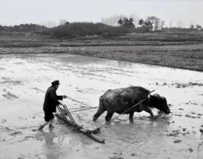 19年杀19人的连环杀手,杀150人的连环杀手