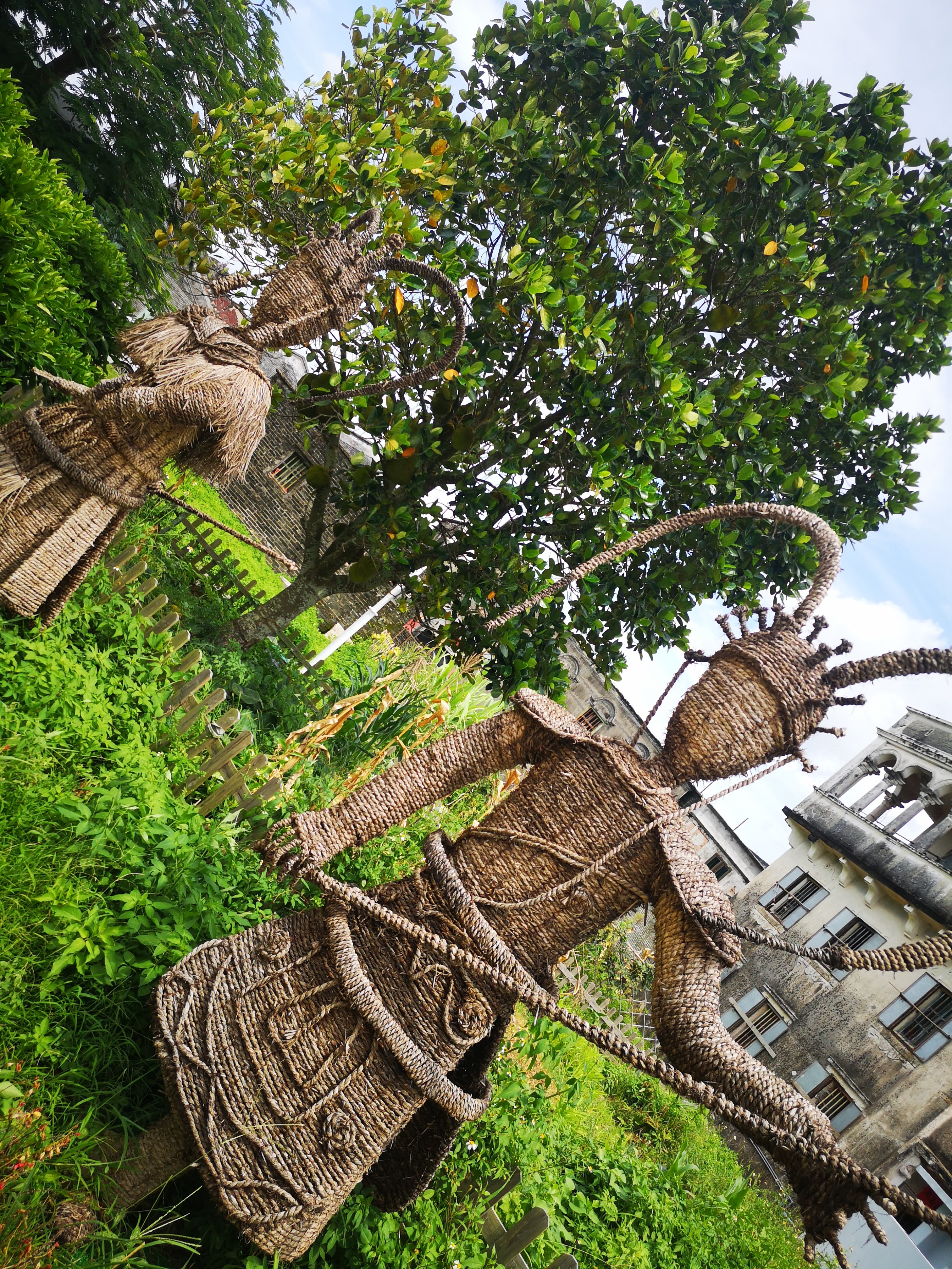 广东丹霞山风景旅游攻略,广东赏雪旅游景点推荐