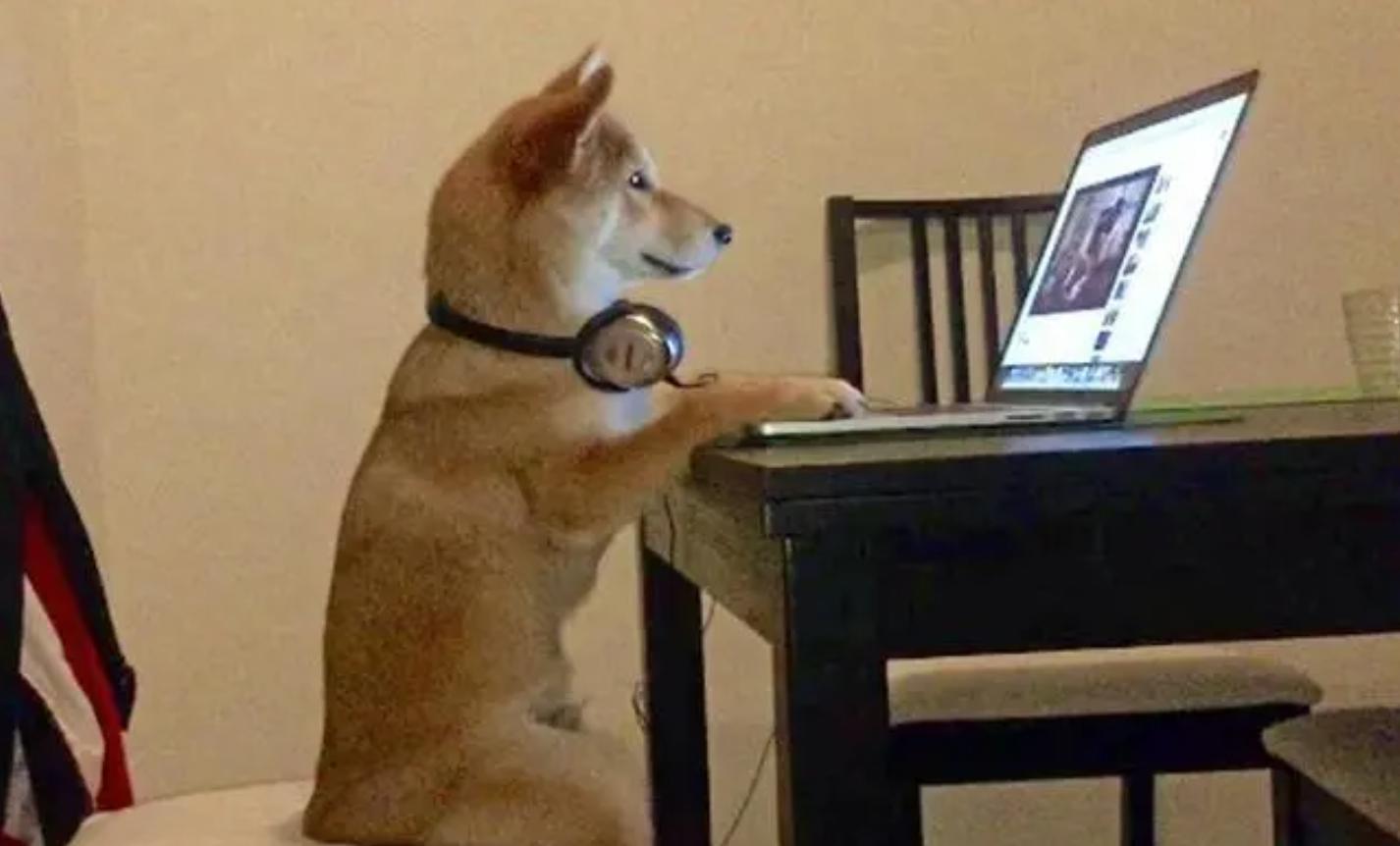 我的机器人女友新视频,我的机器人女友最后是真人吗