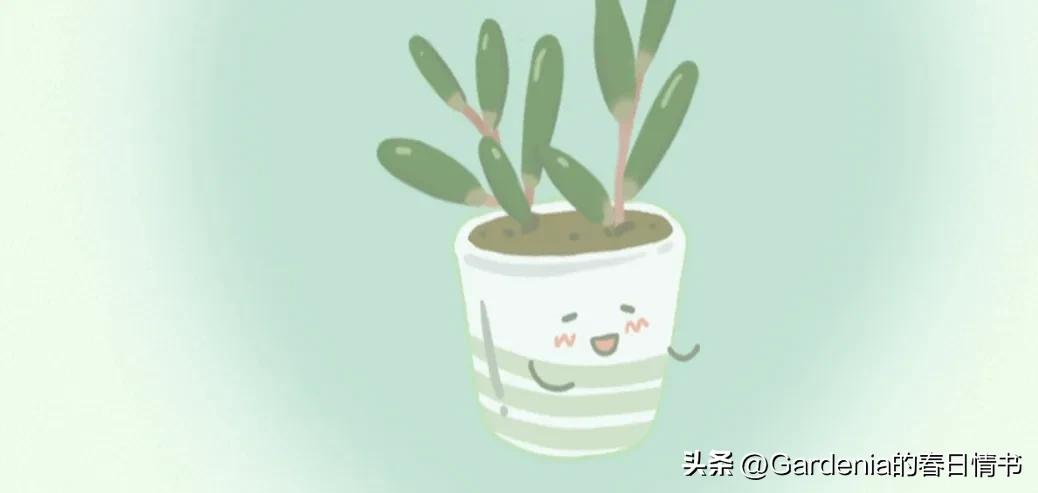 小雅日记:再见如初见