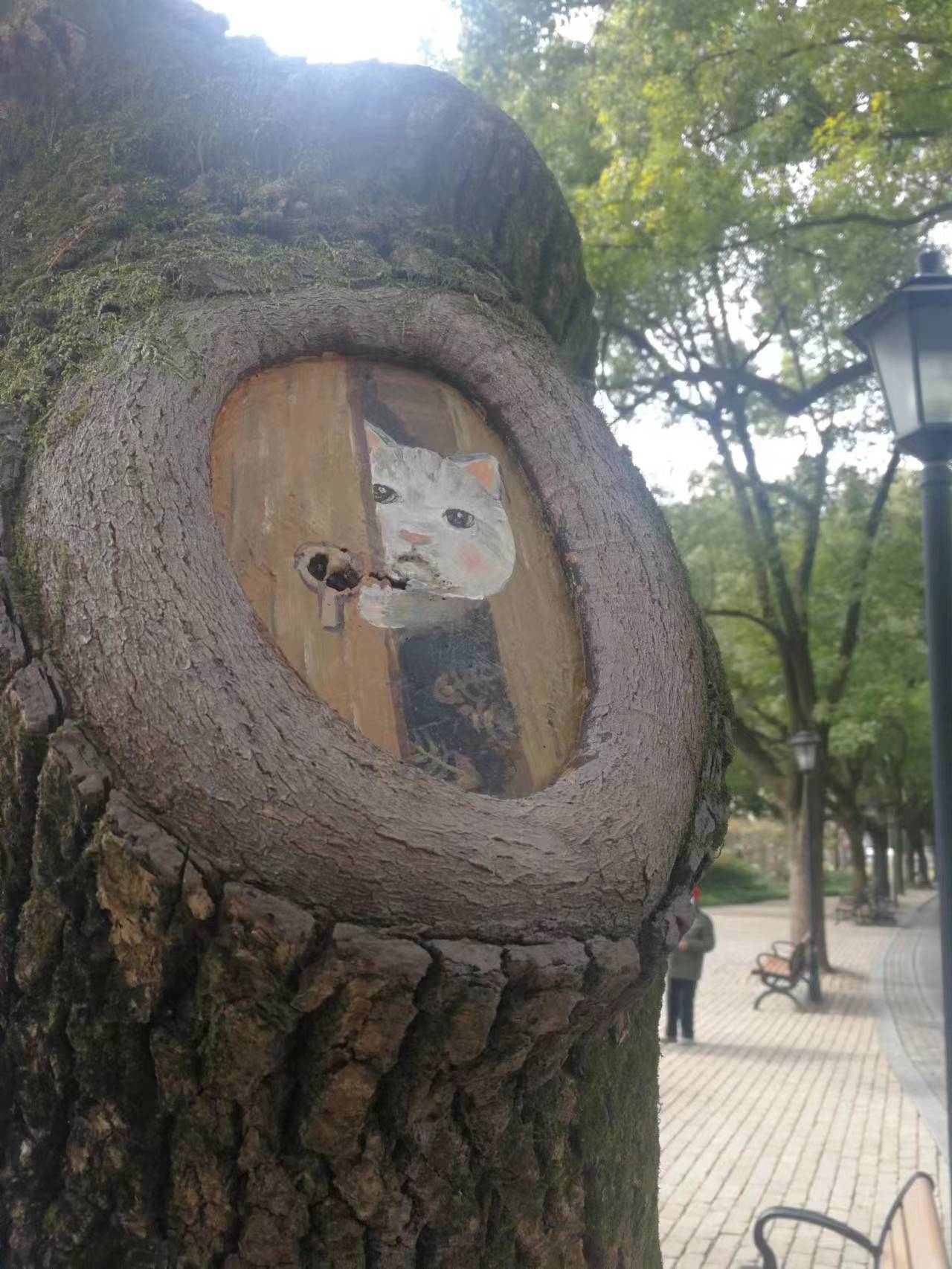 上海中山公园十大景观,上海中山公园新添8个树洞画