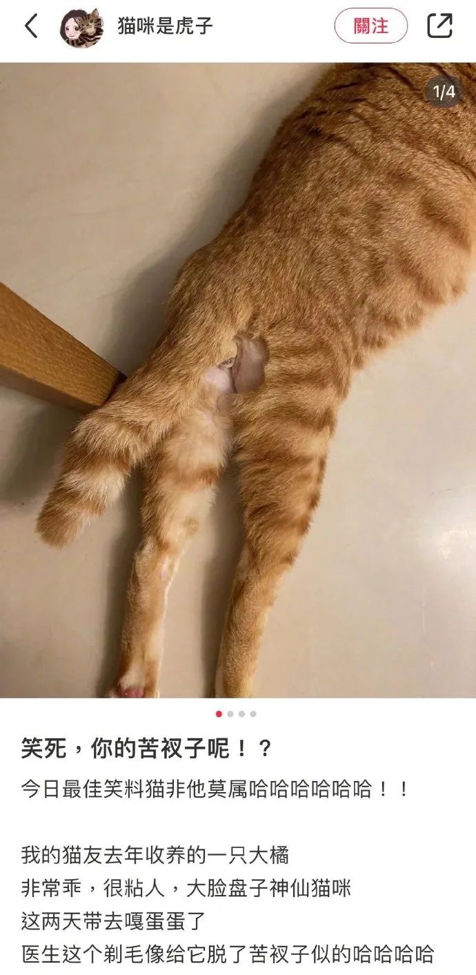 男朋友送6000的礼物,男朋友送了个7000的包分手要还吗