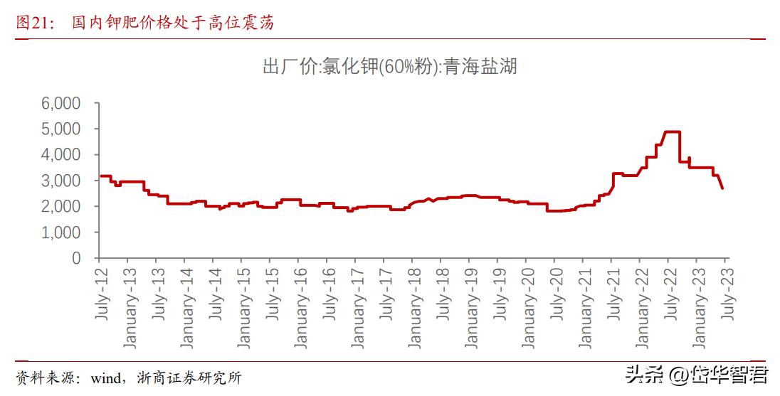 藏格锂业与藏格矿业,藏格矿业深度分析