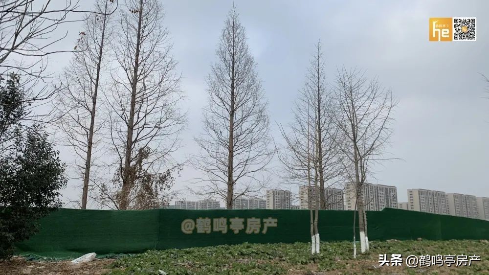 盐城长坝二期四号地块何时开建,盐城小海路东水泵厂地块何时开工