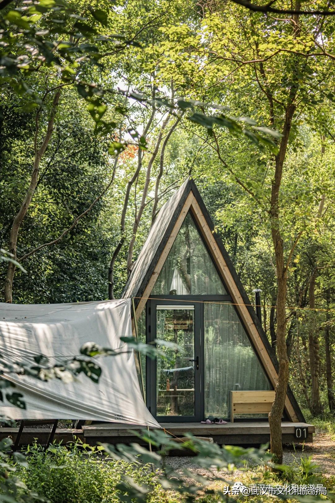 武汉夏天凉快的游玩地方,武汉凉快又免费的景点