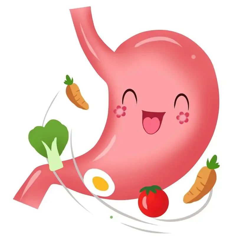 吃饭过快导致肠胃不消化怎么办,肠胃不舒服科普动画