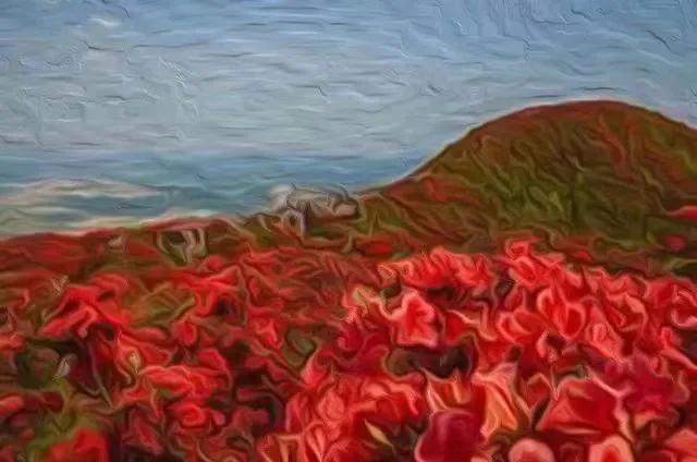 杜鹃花开杜鹃岭,杜鹃花开石窝村