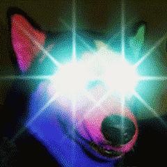 这样一台，出得了厅堂下得了厨房的本本，试问谁不爱呢