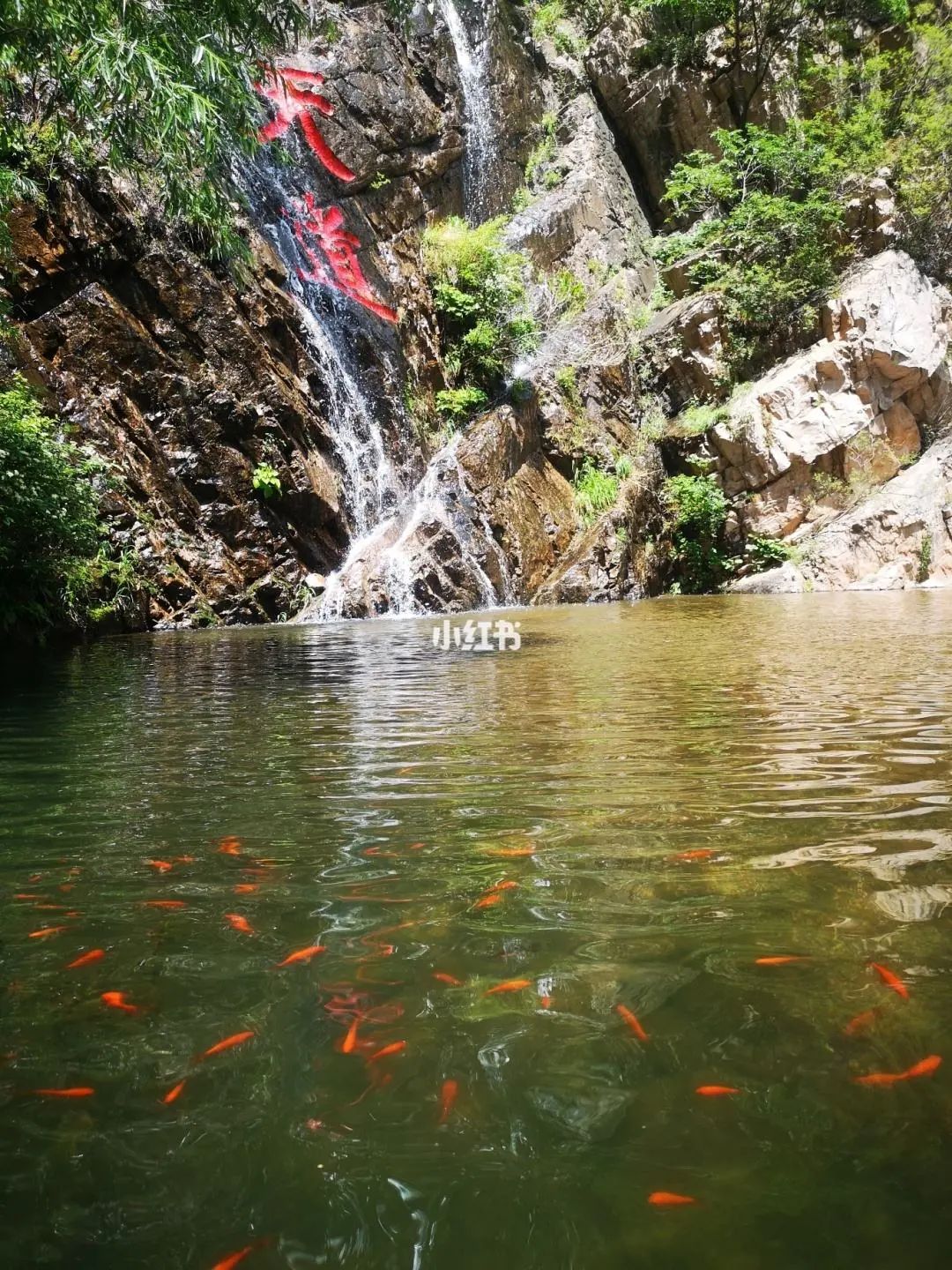 你好，我叫天津，这是我2022年的最新简历