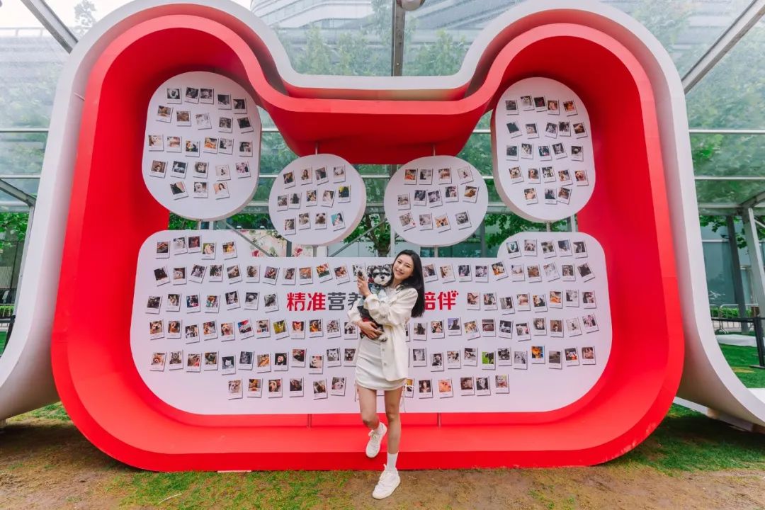 市区100平米宠物游乐园,宠物游乐场室内