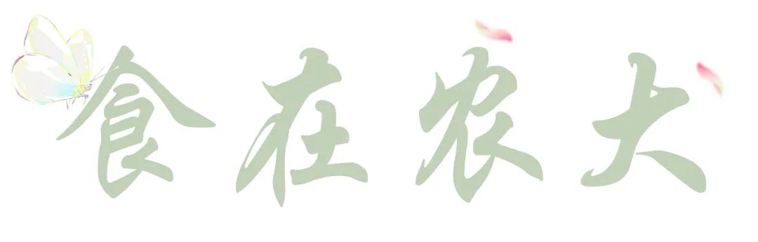 来到农大的心得体会,农大心得