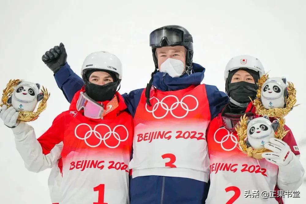 冰墩墩和他的出圈神曲,各种颜色的冰墩墩高清图片