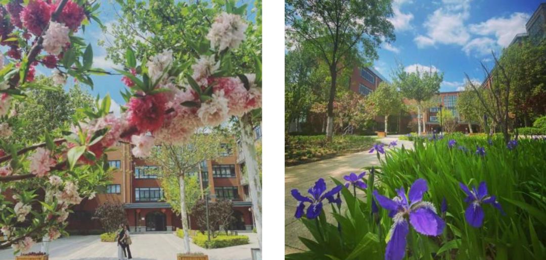 北京中学国际部课程体系,北京中学国际部怎样