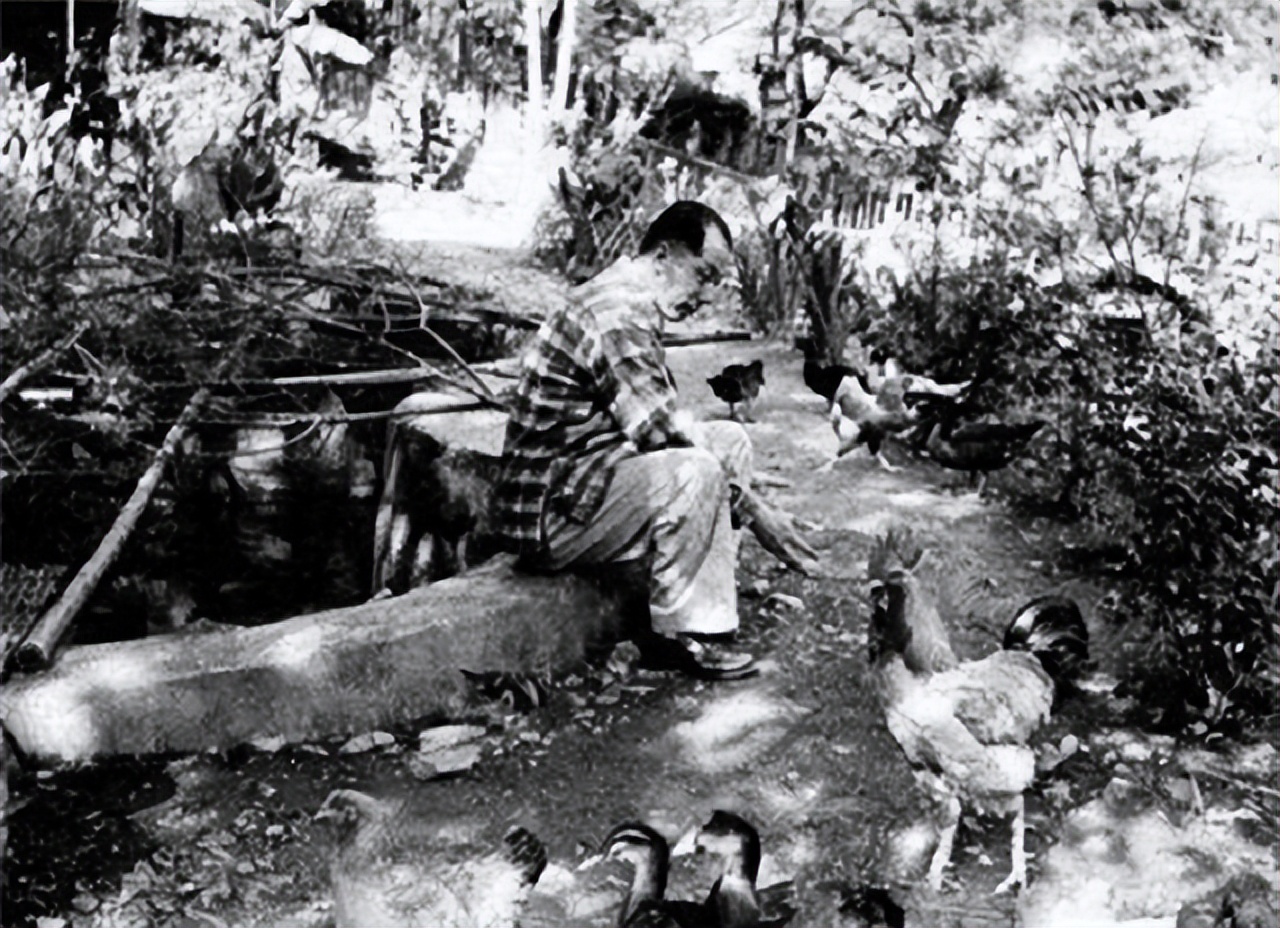 抗日名将杨虎城将军,杨虎城遗孀逝世