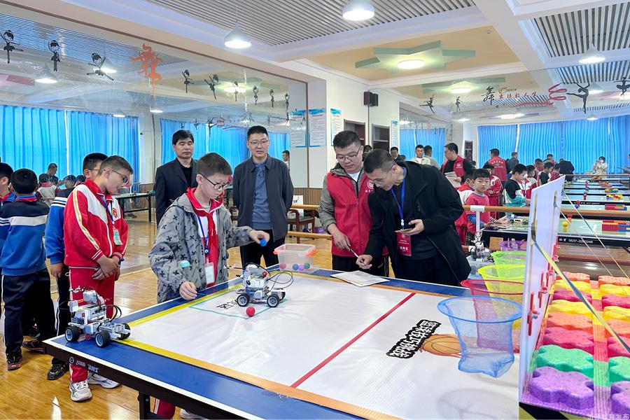 小学教育信息化大赛,小学生信息技术素养提升实践活动