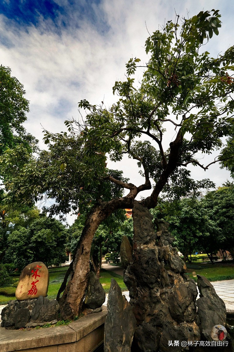 福州最新玩法,福州市区游玩攻略