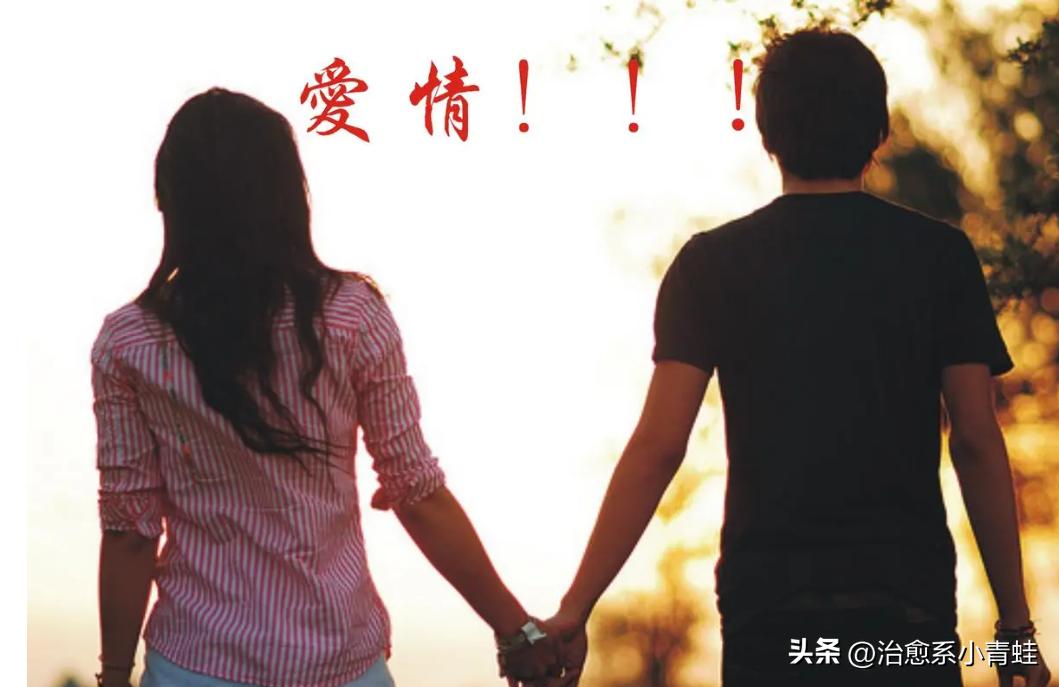 美国人可以娶多少个老婆,美国人一般能娶多少老婆