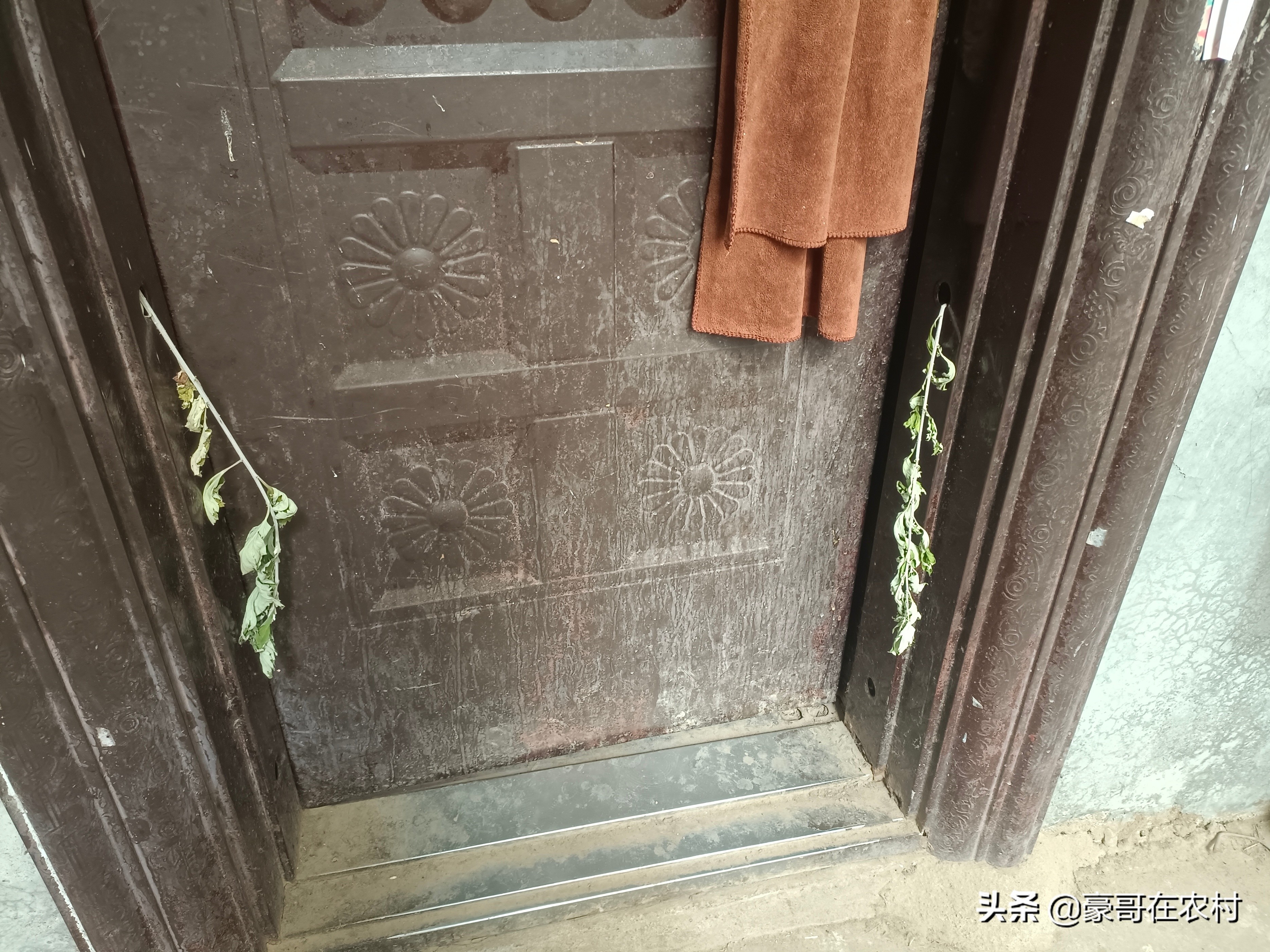 端午节挂艾草你知道有哪些讲究吗,端午节挂艾草有哪些讲究分享大家