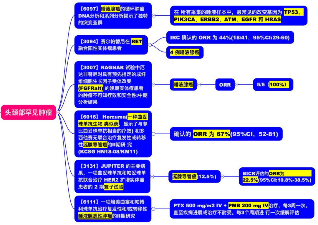 焦顺昌教授：罕见肿瘤的靶向和免疫治疗进展