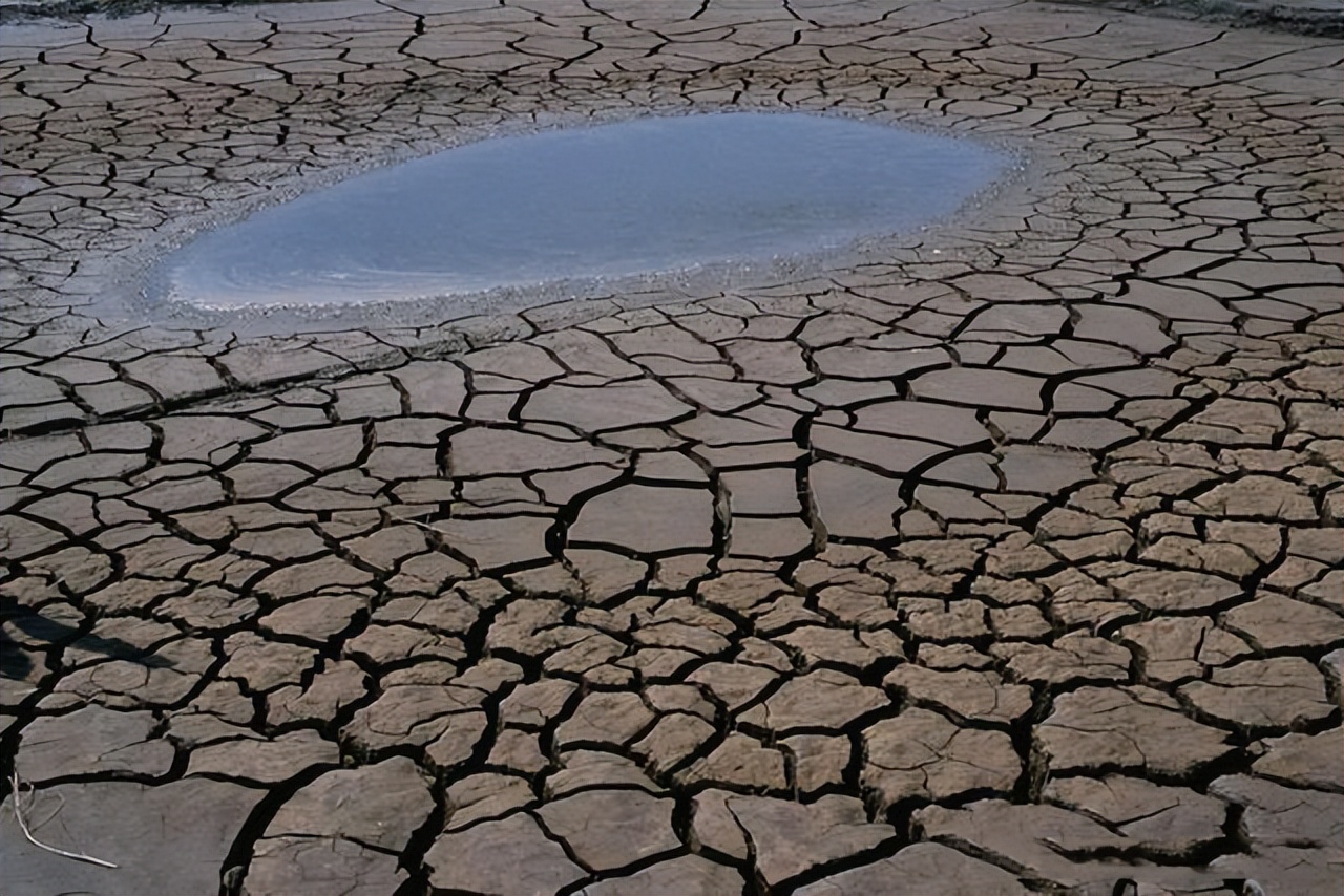 蜻蜓为什么只在夏天出现呢,很多蜻蜓聚集在一处是什么原因
