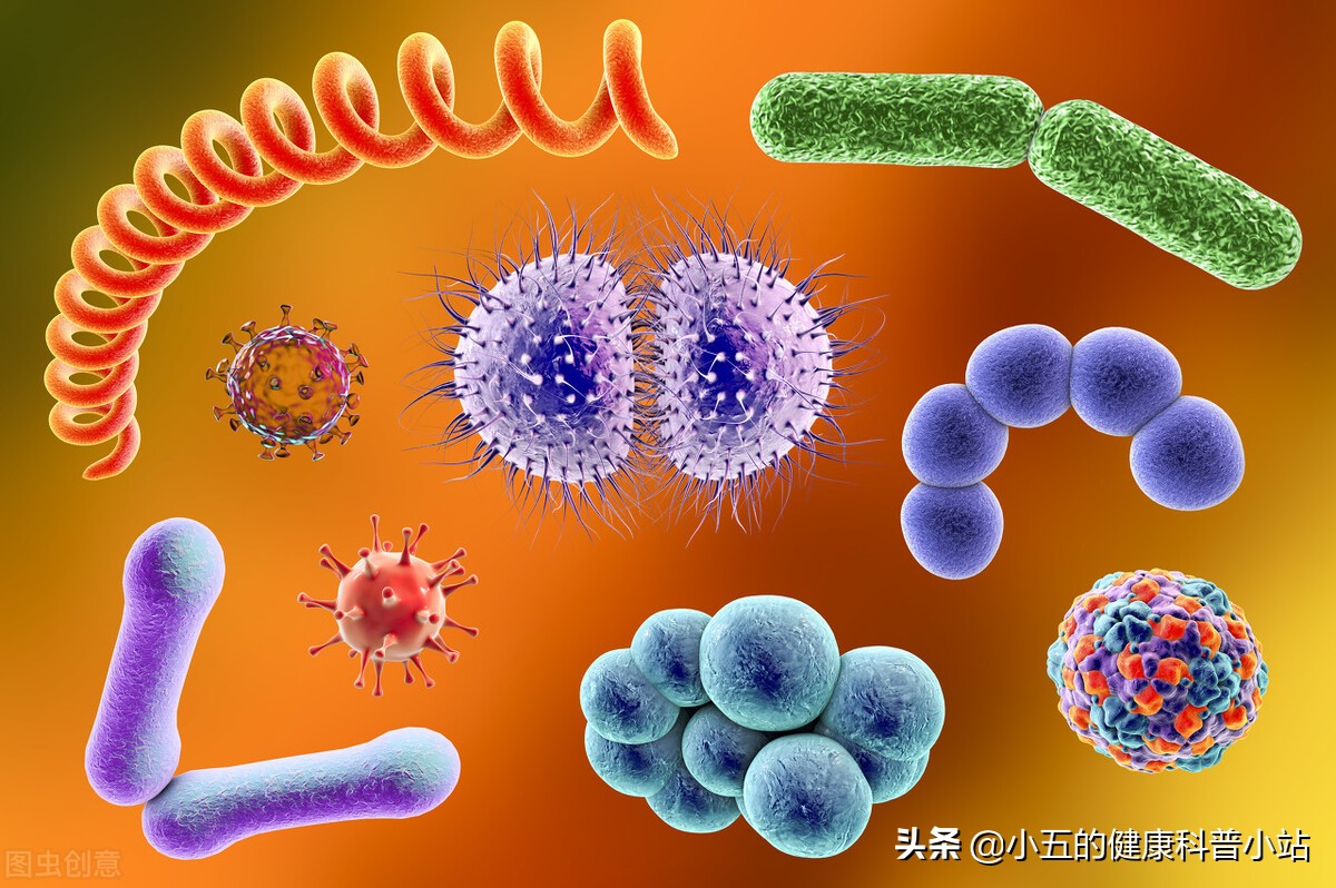 甲硝唑可以有效治疗5类感染,服用时需要注意7个问题