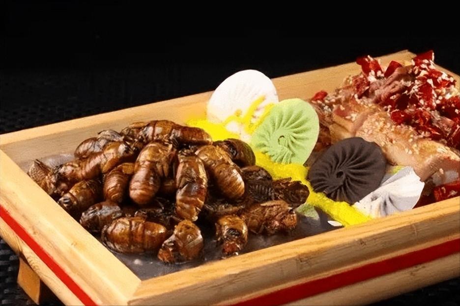 在美国知了猴泛滥,中国人在美国吃知了猴