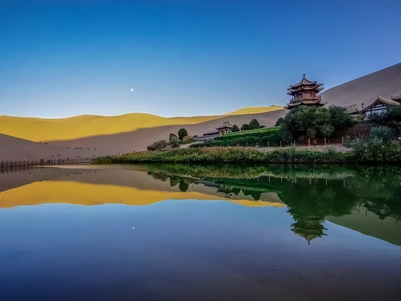 我愿和你一起奔赴理想和未来,我愿背上行囊随你去远方