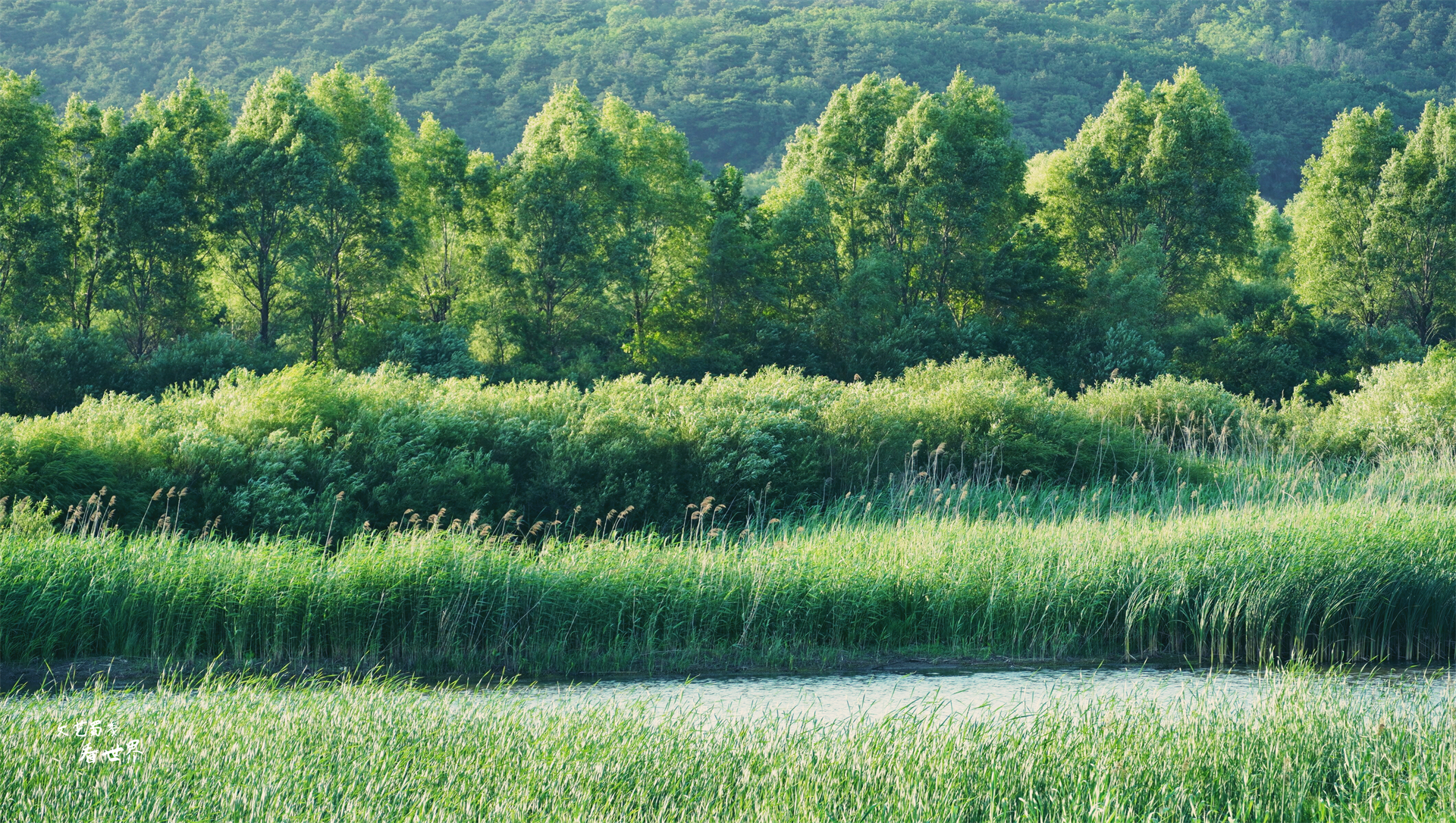 棋盘山是沈阳人民的后花园,春夏秋冬都招人爱,可以爬山环湖滑雪