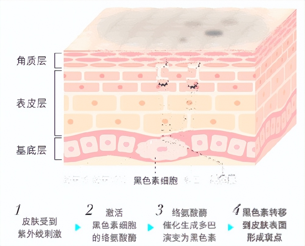 泰国芮一ray维生素面膜,泰国芮一面膜