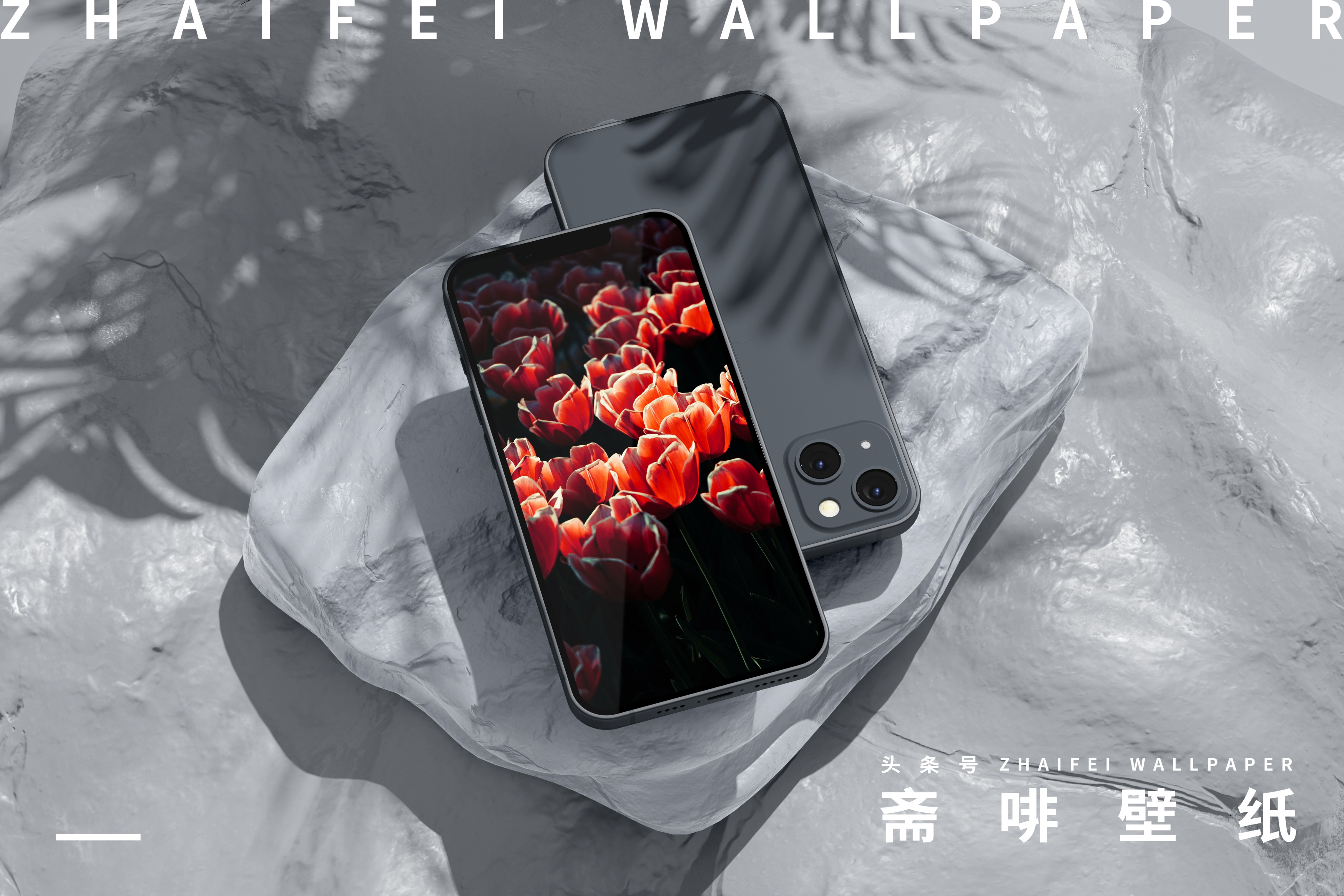 苹果专用壁纸全屏花,花图片壁纸高清全屏