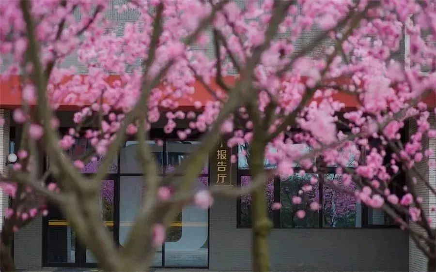 山东省青岛第六中学,山东青岛第六中学