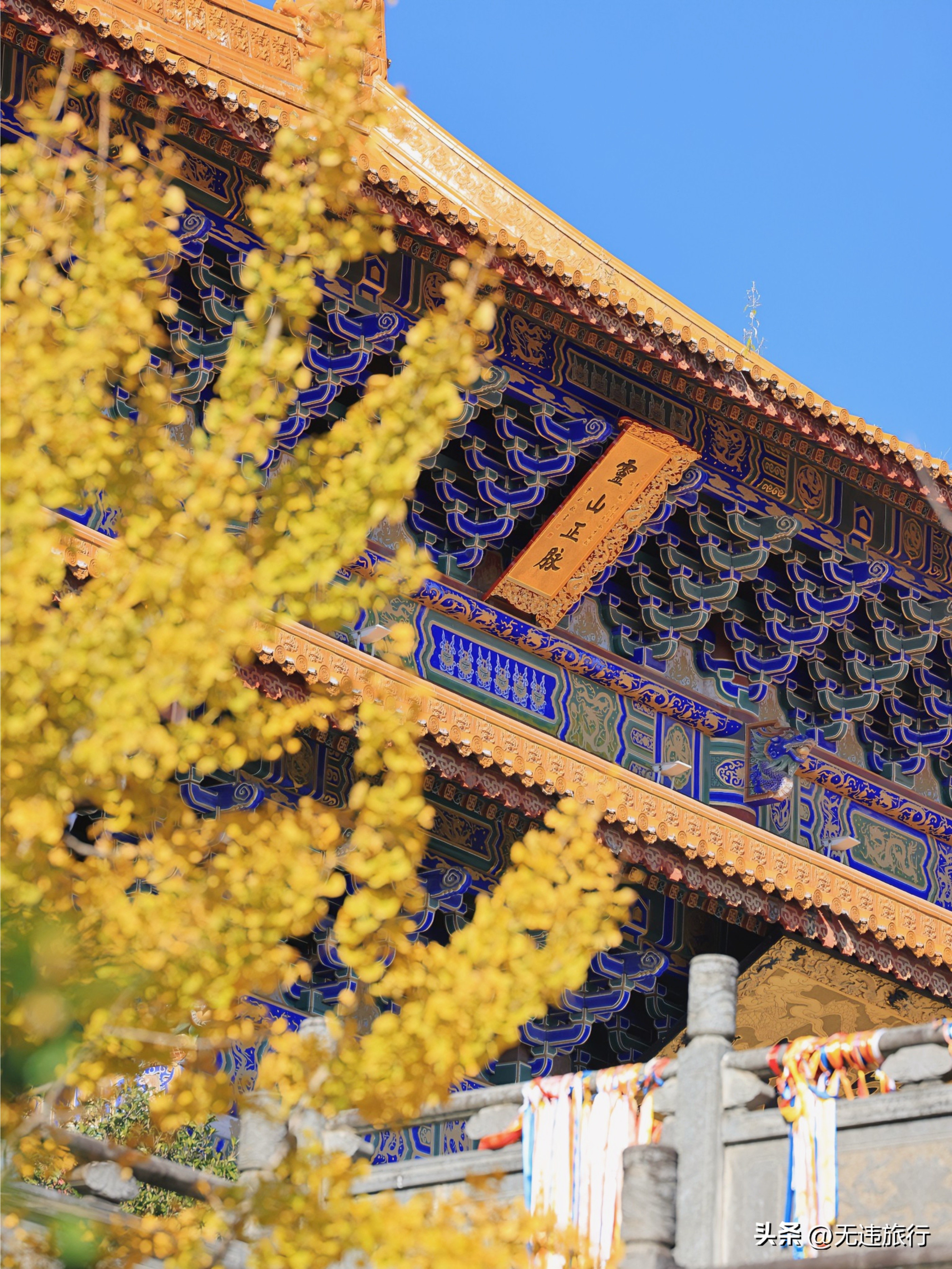 大理古城银杏叶美景,大理崇圣三塔附近景点