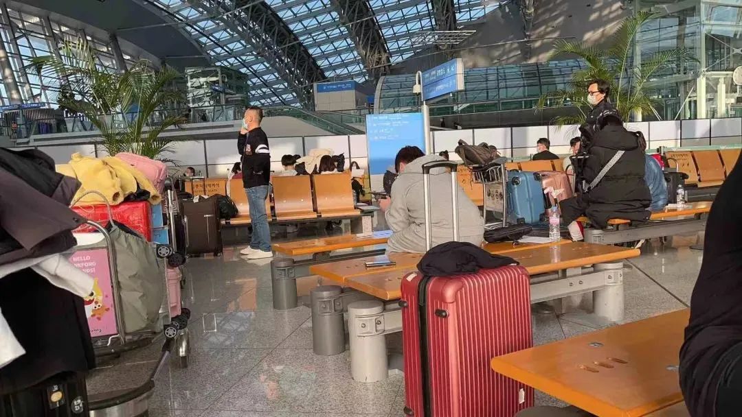 中国人入境脖子挂黄牌、军方押小黑屋，自费6300！中国的反击来了