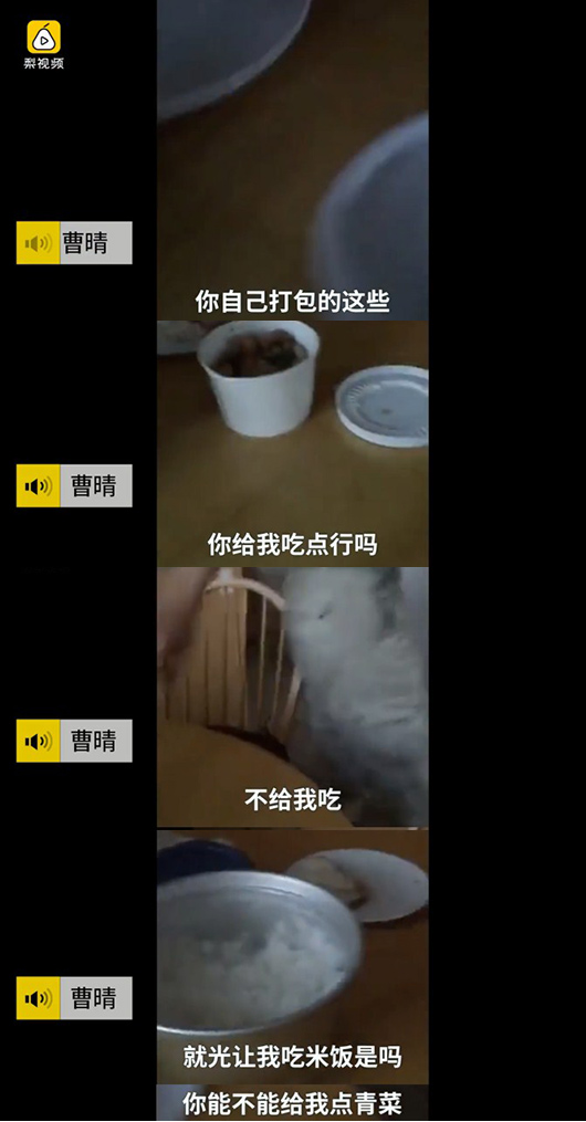 曹晴离婚后现状,曹晴婚姻惨状