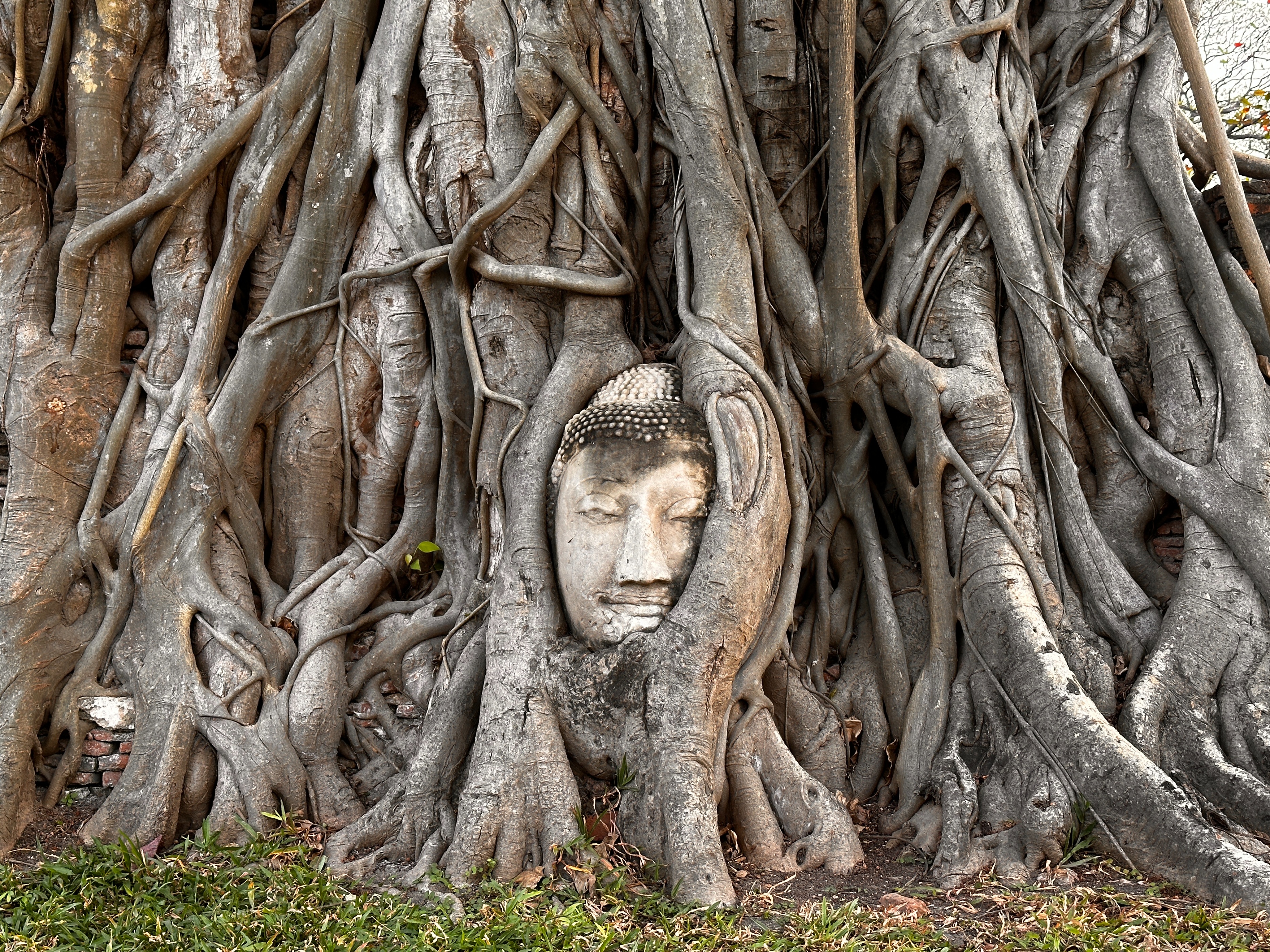 2023年泰国旅游入境详细流程,去泰国旅游需要什么手续和签证呢